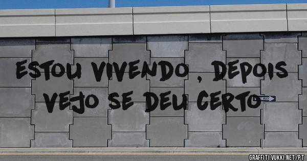 estou vivendo , depois vejo se deu certo