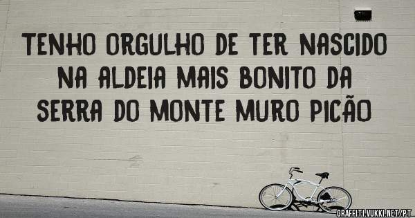 Tenho orgulho de ter nascido na aldeia mais bonito da serra do monte muro PICÃO 