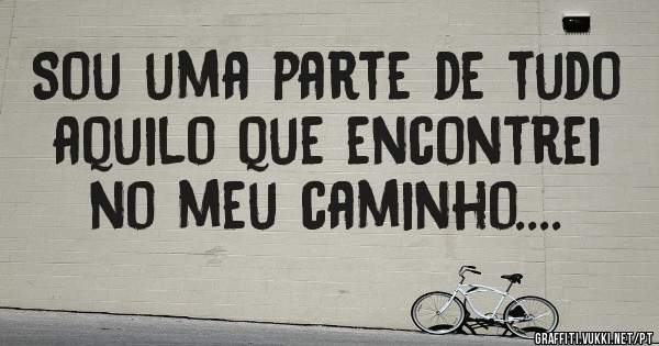 Sou uma parte de tudo aquilo que encontrei no meu caminho....