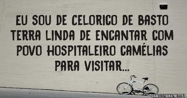 Eu sou de Celorico de basto terra linda de encantar com povo hospitaleiro camélias para visitar...