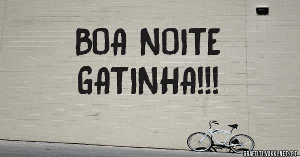 BOA NOITE 

GATINHA!!!