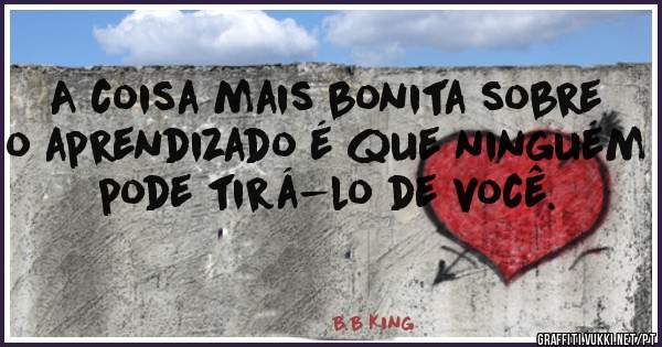 A coisa mais bonita sobre o aprendizado é que ninguém pode tirá-lo de você.