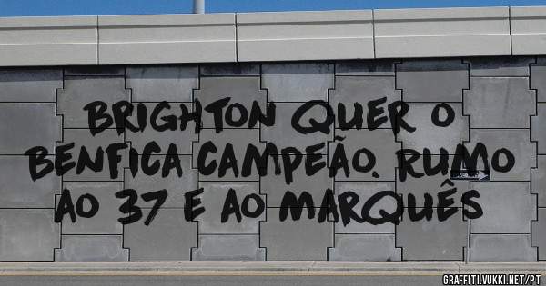 Brighton quer o Benfica campeão. Rumo ao 37 e ao Marquês 