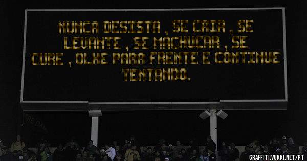 Nunca desista , se cair , se levante , se machucar , se cure , olhe para frente e continue tentando.