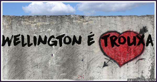 Wellington é trouxa