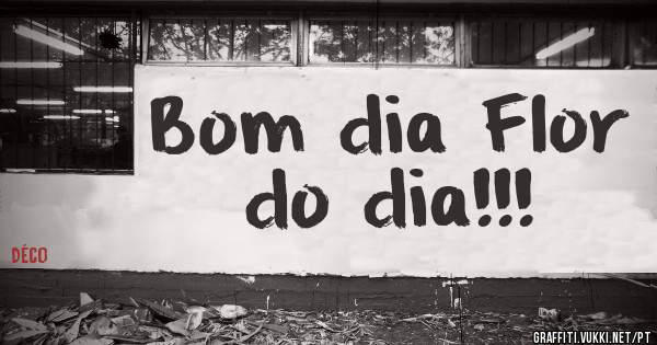Bom dia Flor do dia!!!