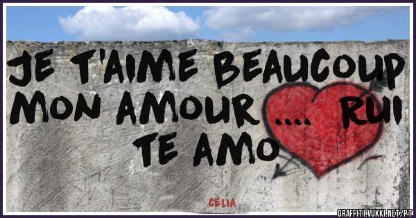 Je t'aime beaucoup mon amour ....  Rui te amo 