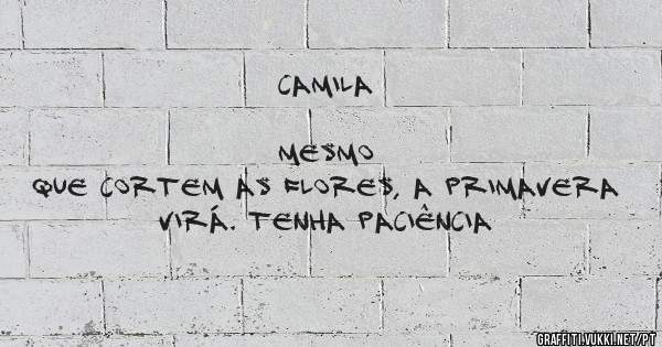CAMILA
                                                                MESMO QUE CORTEM AS FLORES, A PRIMAVERA VIRÁ. TENHA PACIÊNCIA
