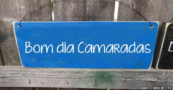 Bom dia Camaradas 