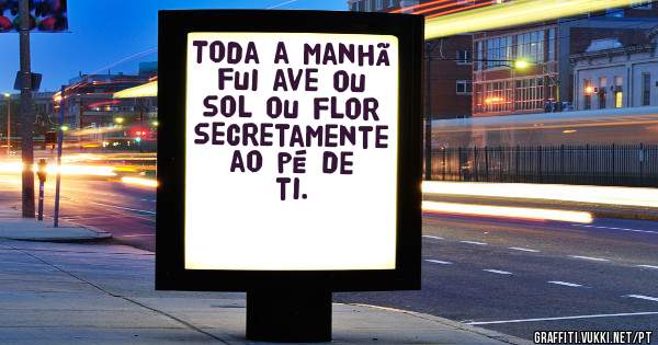 Toda a manhã
fui ave ou sol ou flor
secretamente 
ao pé de ti.