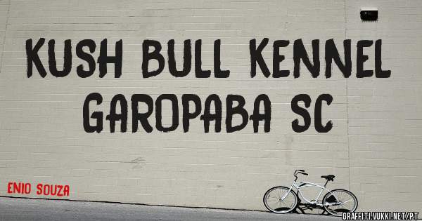 KUSH BULL KENNEL
GAROPABA SC