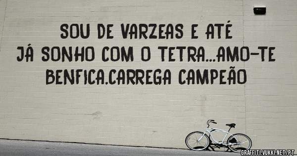SOU DE VARZEAS E ATÉ JÁ SONHO COM O TETRA...AMO-TE BENFICA.CARREGA CAMPEÃO 