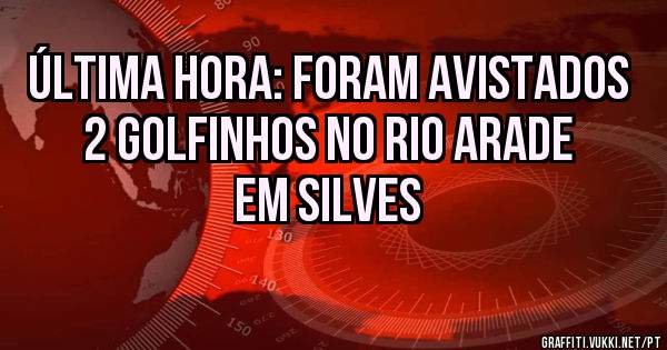 Última hora: Foram avistados 2 golfinhos no rio Arade em Silves
