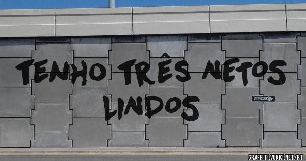 tenho três NETOS LINDOS