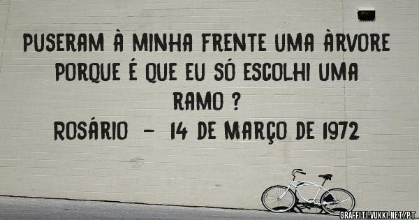 Puseram à minha frente uma àrvore
Porque é que eu só escolhi uma ramo ?
Rosário  -  14 de Março de 1972