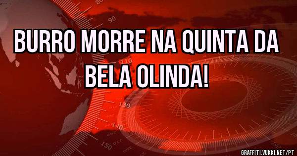 Burro morre na Quinta da Bela Olinda!