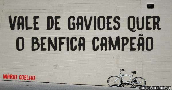 Vale de gavioes quer o Benfica campeão 