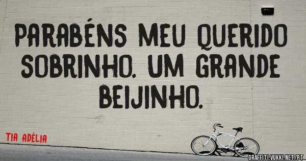 Parabéns meu querido sobrinho. Um grande beijinho.