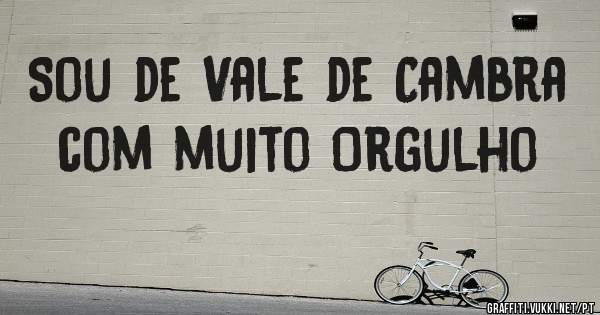 Sou de Vale de Cambra com muito Orgulho