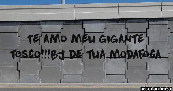 Te amo meu gigante tosco!!!bj de tua modafoca