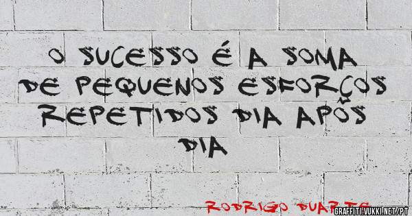 O SUCESSO É A SOMA DE PEQUENOS ESFORÇOS REPETIDOS DIA APÔS DIA