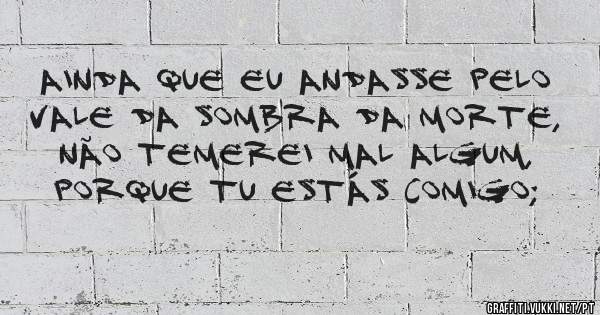 Ainda que eu andasse pelo vale da sombra da morte, não temerei mal algum, Porque tu estás comigo; 