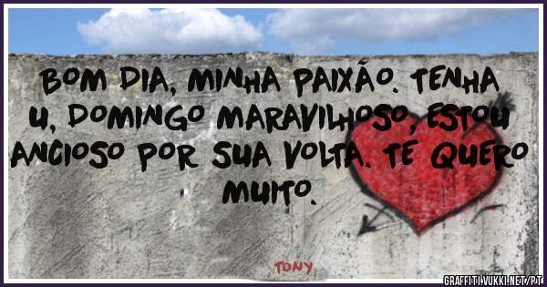 BOM DIA, MINHA PAIXÃO. TENHA U, DOMINGO MARAVILHOSO, ESTOU ANCIOSO POR SUA VOLTA. TE QUERO MUITO.