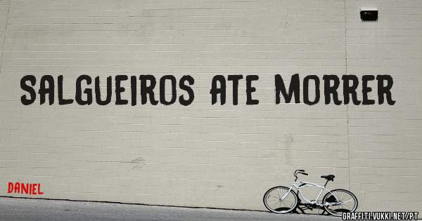 Salgueiros ate morrer