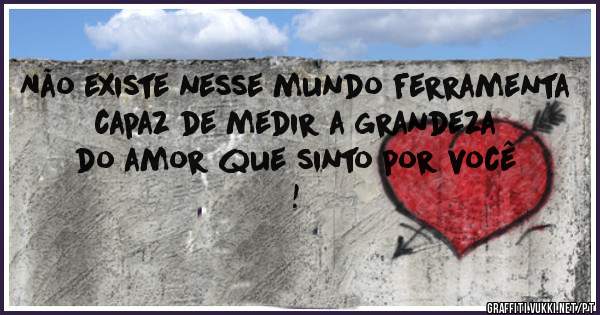 Não existe nesse mundo ferramenta capaz de medir a grandeza do amor que sinto por você !
