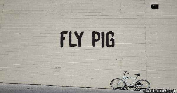 Fly Pig 