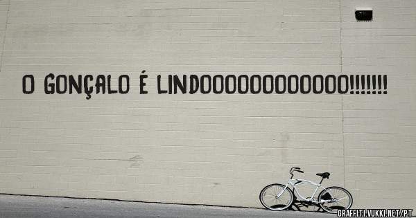 O Gonçalo é lindoooooooooooo!!!!!!!