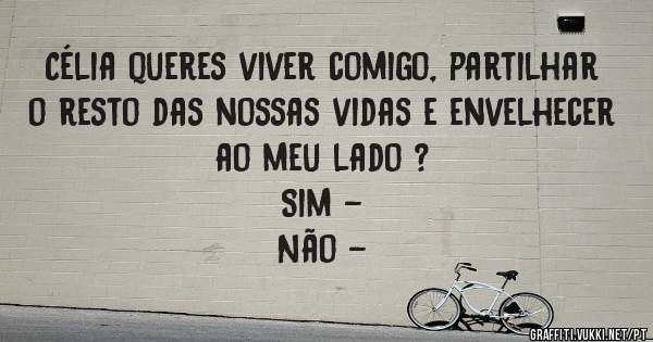 Célia queres viver comigo, partilhar o resto das nossas vidas e envelhecer ao meu lado ?
             Sim -
             Não -