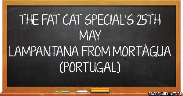 THE FAT CAT SPECIAL'S 25TH MAY
LAMPANTANA FROM MORTÁGUA (PORTUGAL)