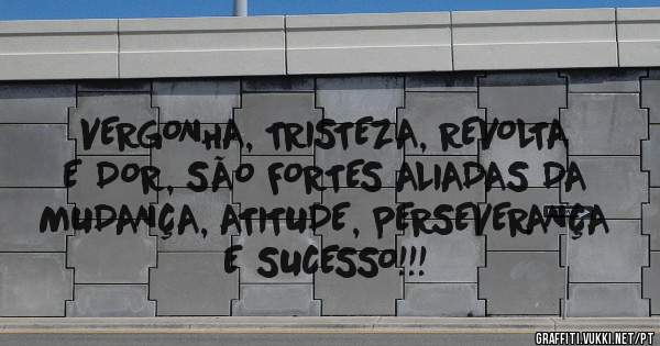 VERGONHA, TRISTEZA, REVOLTA E DOR, SÃO FORTES ALIADAS DA MUDANÇA, ATITUDE, PERSEVERANÇA E SUCESSO!!!
