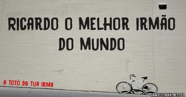 Ricardo o melhor irmão do mundo