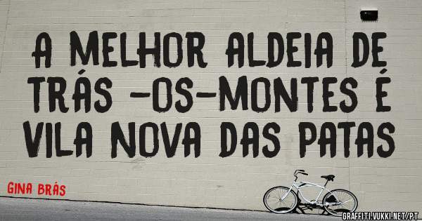 A melhor aldeia de trás -os-montes é Vila Nova das Patas 
