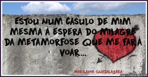 Estou num casulo de mim mesma à espera do milagre da metamorfose que me fará voar...