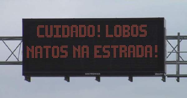 Cuidado! Lobos Natos na estrada!
