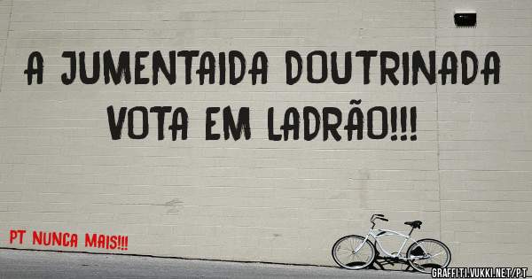 A JUMENTAIDA DOUTRINADA VOTA EM LADRÃO!!!