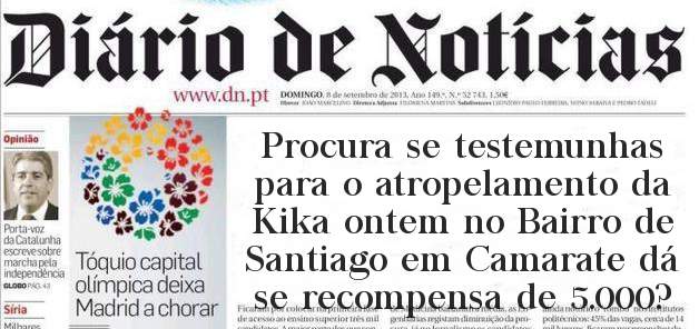 Procura se testemunhas para o atropelamento da Kika ontem no Bairro de Santiago em Camarate dá se recompensa de 5.000?