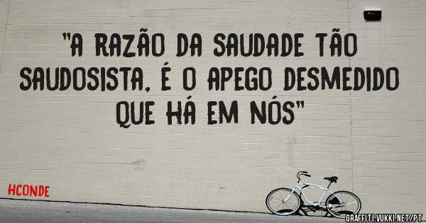''a razão da saudade tão saudosista, é o apego desmedido que há em nós''