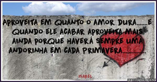 Aproveita em quanto o amor dura.......e quando ele acabar aproveita mais ainda porque haverá sempre uma andorinha em cada Primavera...............