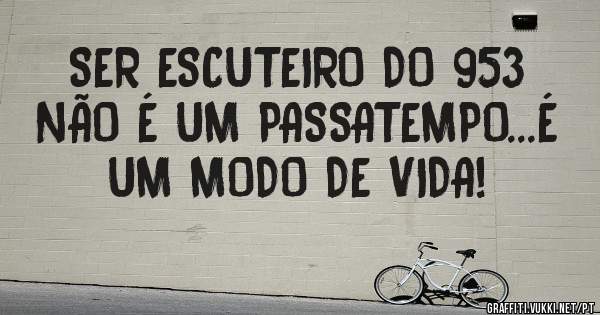 SER ESCUTEIRO DO 953 NÃO É UM PASSATEMPO...É UM MODO DE VIDA!