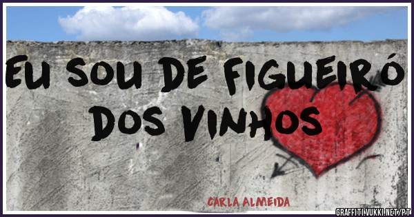 Eu sou de Figueiró dos Vinhos