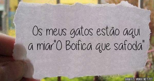 Os meus gatos estão aqui a miar''O Boifica que safoda''