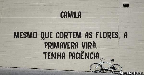 CAMILA
                                                   MESMO QUE CORTEM AS FLORES, A PRIMAVERA VIRÁ. 
TENHA PACIÊNCIA