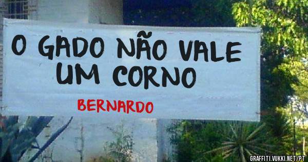 O GADO NÃO VALE UM CORNO