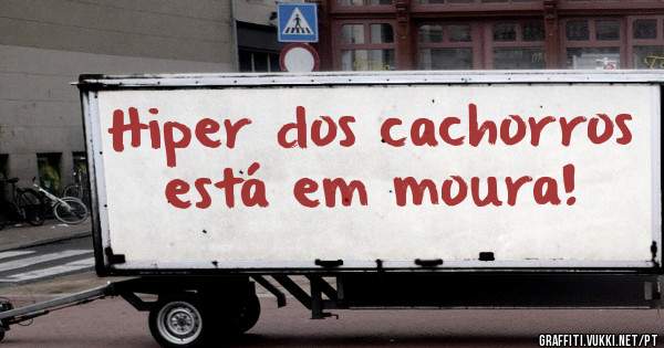 Hiper dos cachorros está em moura!