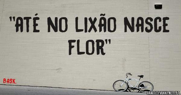 ''até no lixão nasce flor''