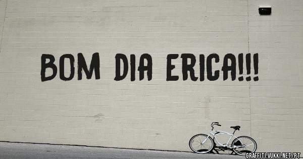 Bom dia Erica!!!